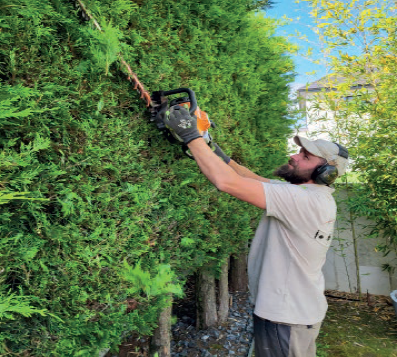 ENTRETIEN ET TAILLE de jardin