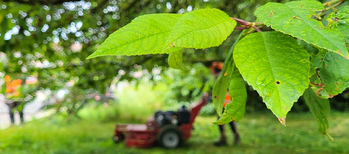 ENTRETIEN pour les professionnels