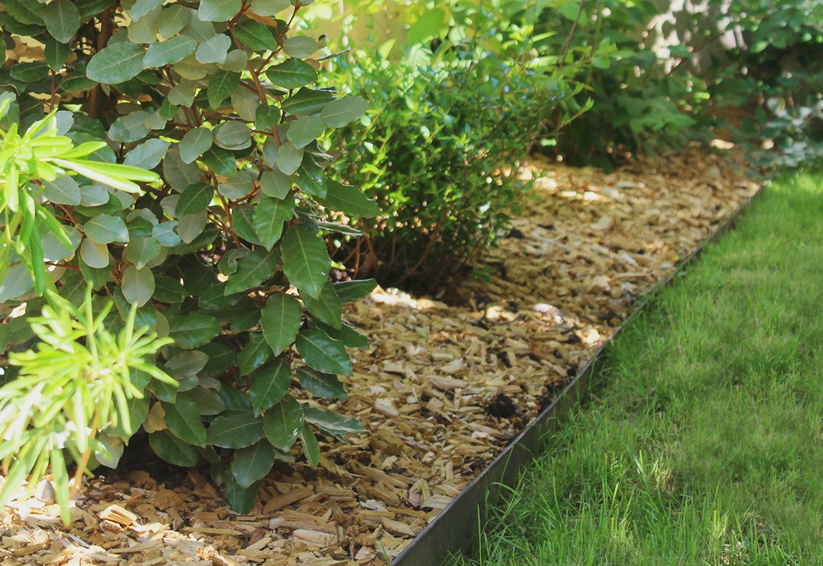 entretien de votre jardin